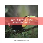 Mr. Borneo Kinabalu – Relaxation Sape Borneo, Vol. 7