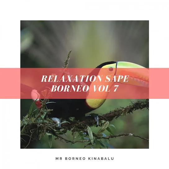 Mr. Borneo Kinabalu - Relaxation Sape Borneo, Vol. 7