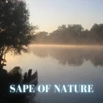 Mr. Borneo Kinabalu – Sape of Nature