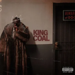 Wande Coal - Sure For Me Ft. Fido