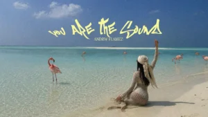 ANDRW FLAMEZ - YOU ARE THE SOUND (REMIX)