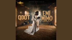 Qdot Emi Mimo