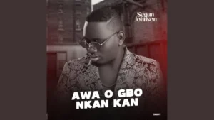 Segun Johnson - Awa O Gbo Nkan Kan