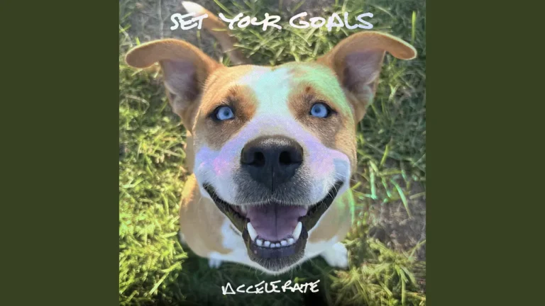 Set Your Goals Accelerate