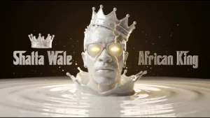 Shatta Wale - KEEP TINGS TO MYSELF