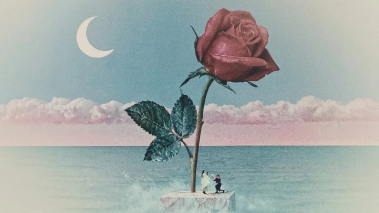 Tove Lo - des fleurs Ft. stromae
