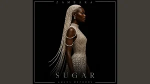 ZAMBARA - Sugar