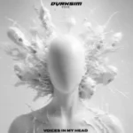 Dvrksim – Voices in my head