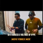 Dj Starkeed Mini Vibes Mix Feat Voltage Of Hype Radio Edit Ft Voltage Of Hype