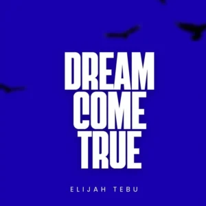 Elijah Tebu Im Proud Of Me Ft Ayo Akinsanya