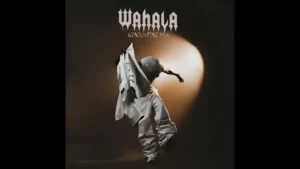 Genius Jini X66 Wahala