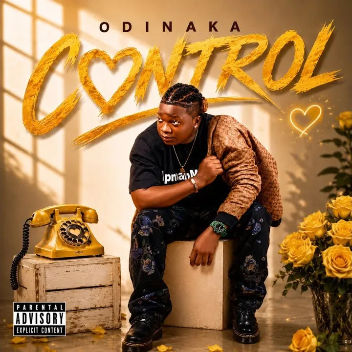 Odinaka Control
