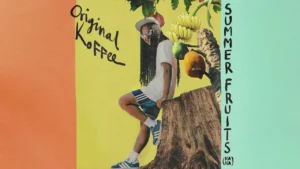 Original Koffee Summer Fruits Na Na