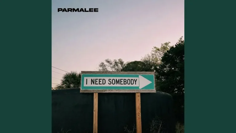 Parmalee I Need Somebody