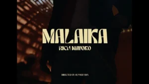 Rich Mavoko Malaika