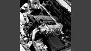 Xavier Wulf New Motor