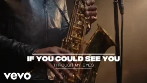 Zionwave If You Could See You Through My Eyes