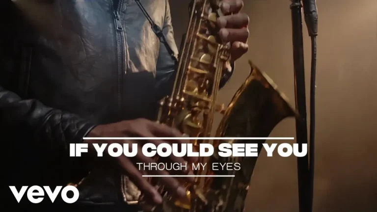Zionwave If You Could See You Through My Eyes