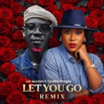 JAH Wondah – Let You Go (Remix) Ft. Cynthia Morgan