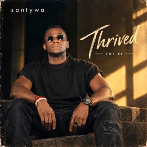 santywa - Never