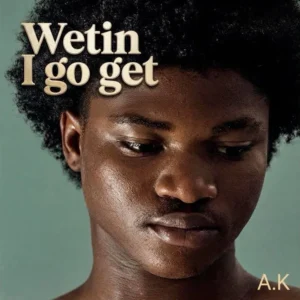 A.K - Wetin I Go Get