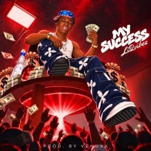 Li2vibez - My Success