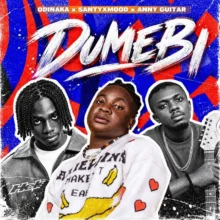 Odinaka - Dumebi Ft. SantyXmood and Anny Guitar